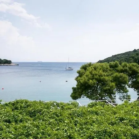 Apartmetns Franka Saplunara-one-bedroom With Terrace And Sea View No2 Saplunara