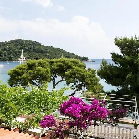 Apartmetns Franka Saplunara-one-bedroom With Terrace And Sea View No2