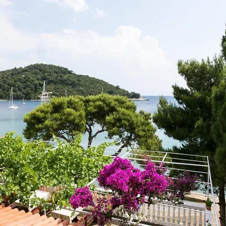 Appartement Apartmetns Franka Saplunara-one-bedroom With Terrace And Sea View No2 *